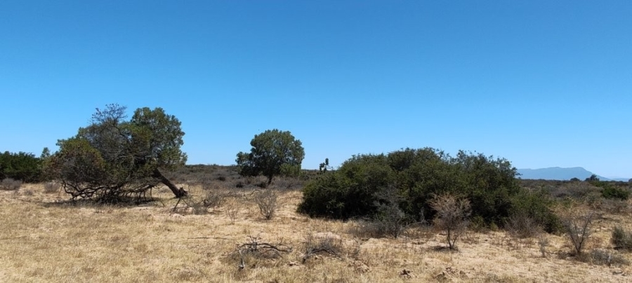 3 Bedroom Property for Sale in Hopefield Rural Western Cape